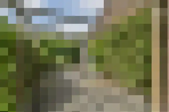 Fuik 18 Monnickendam thumbnail 17