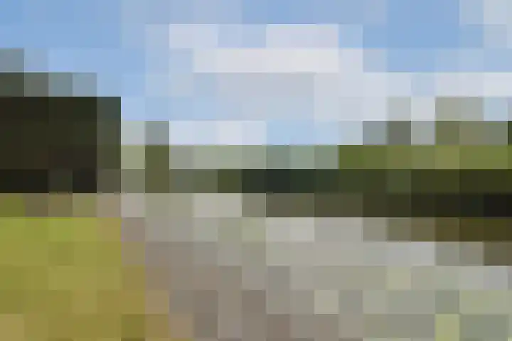Fuik 18 Monnickendam thumbnail 18