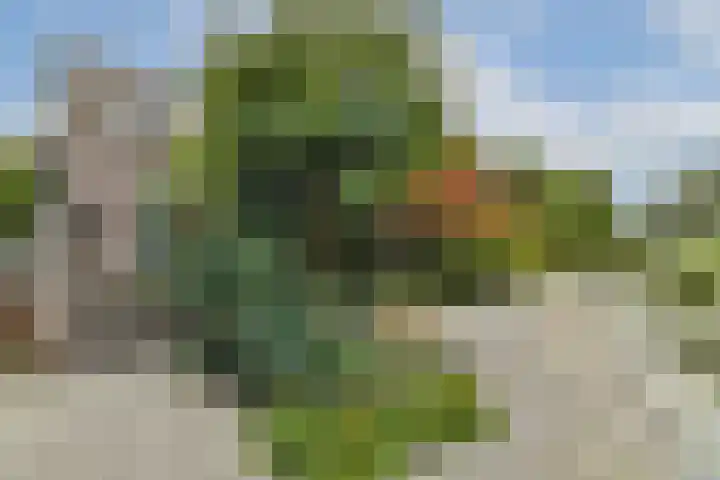 Fuik 18 Monnickendam thumbnail 19