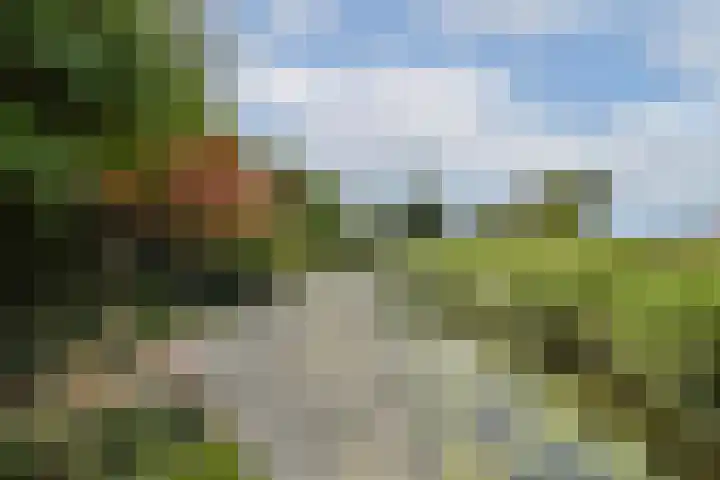 Fuik 18 Monnickendam thumbnail 20