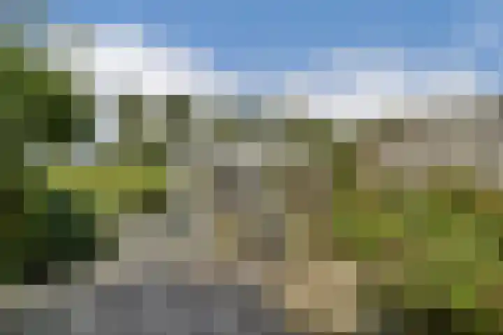 Fuik 18 Monnickendam thumbnail 21