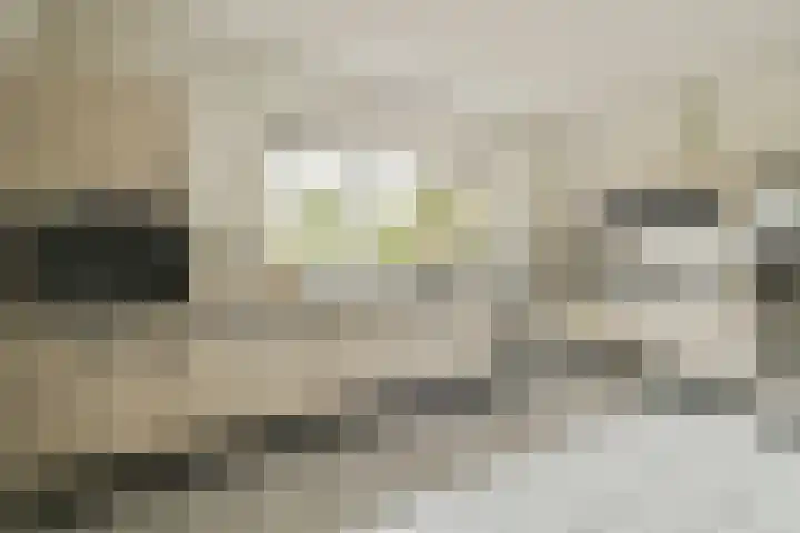 Fuik 18 Monnickendam thumbnail 23