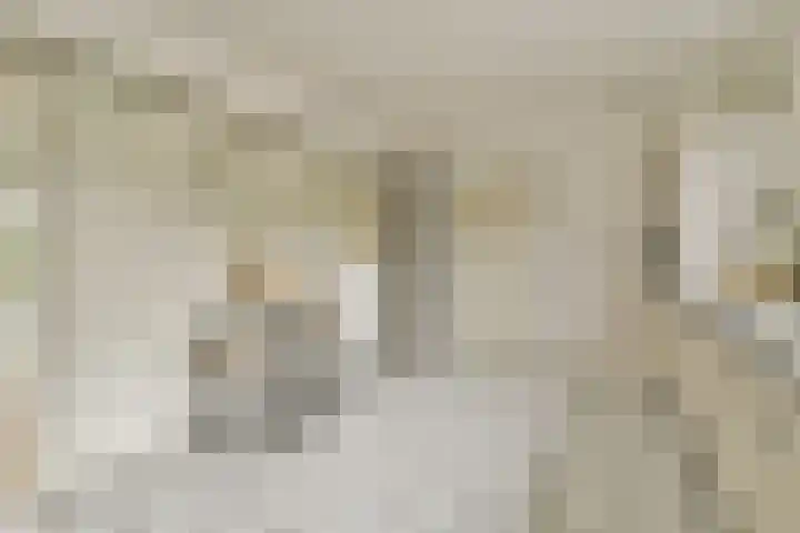 Fuik 18 Monnickendam thumbnail 24