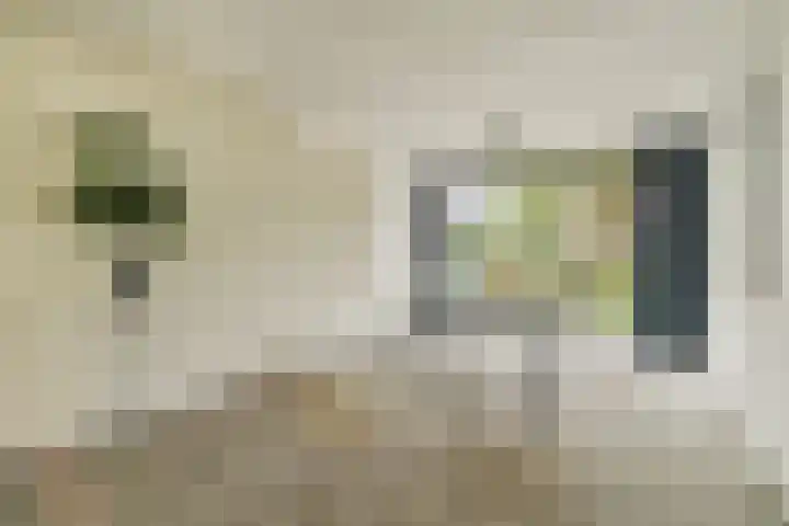 Fuik 18 Monnickendam thumbnail 25