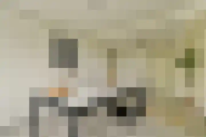Fuik 18 Monnickendam thumbnail 26