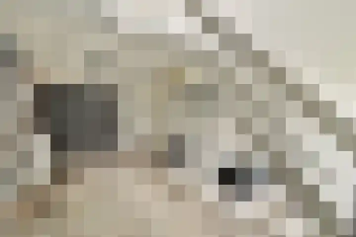 Fuik 18 Monnickendam thumbnail 28