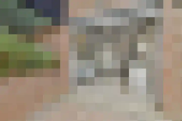 Fuik 18 Monnickendam thumbnail 29