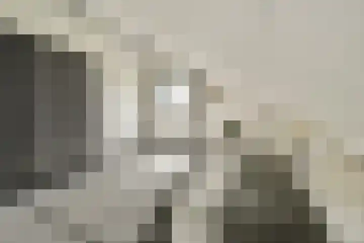 Fuik 18 Monnickendam thumbnail 32