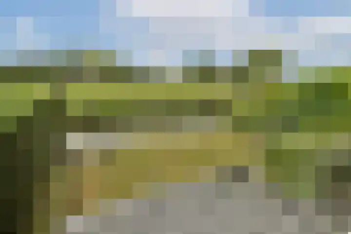 Fuik 18 Monnickendam thumbnail 39