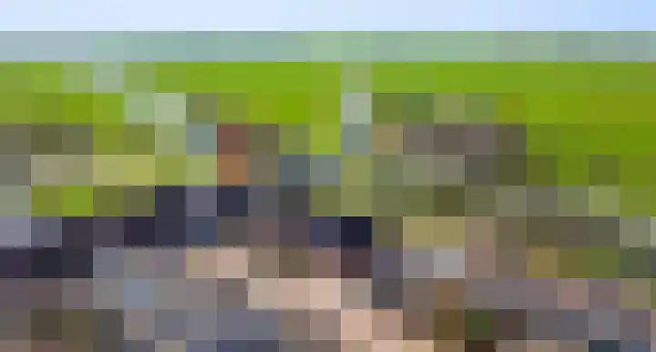 Fuik 18 Monnickendam thumbnail 50
