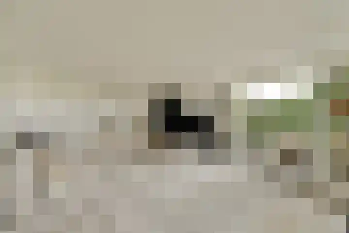 Fuik 18 Monnickendam thumbnail 9