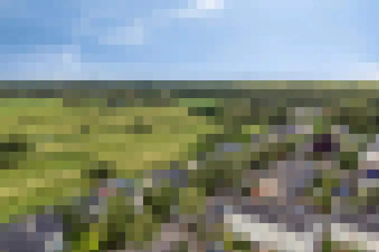 Fuikestee 1 Kortenhoef foto 3