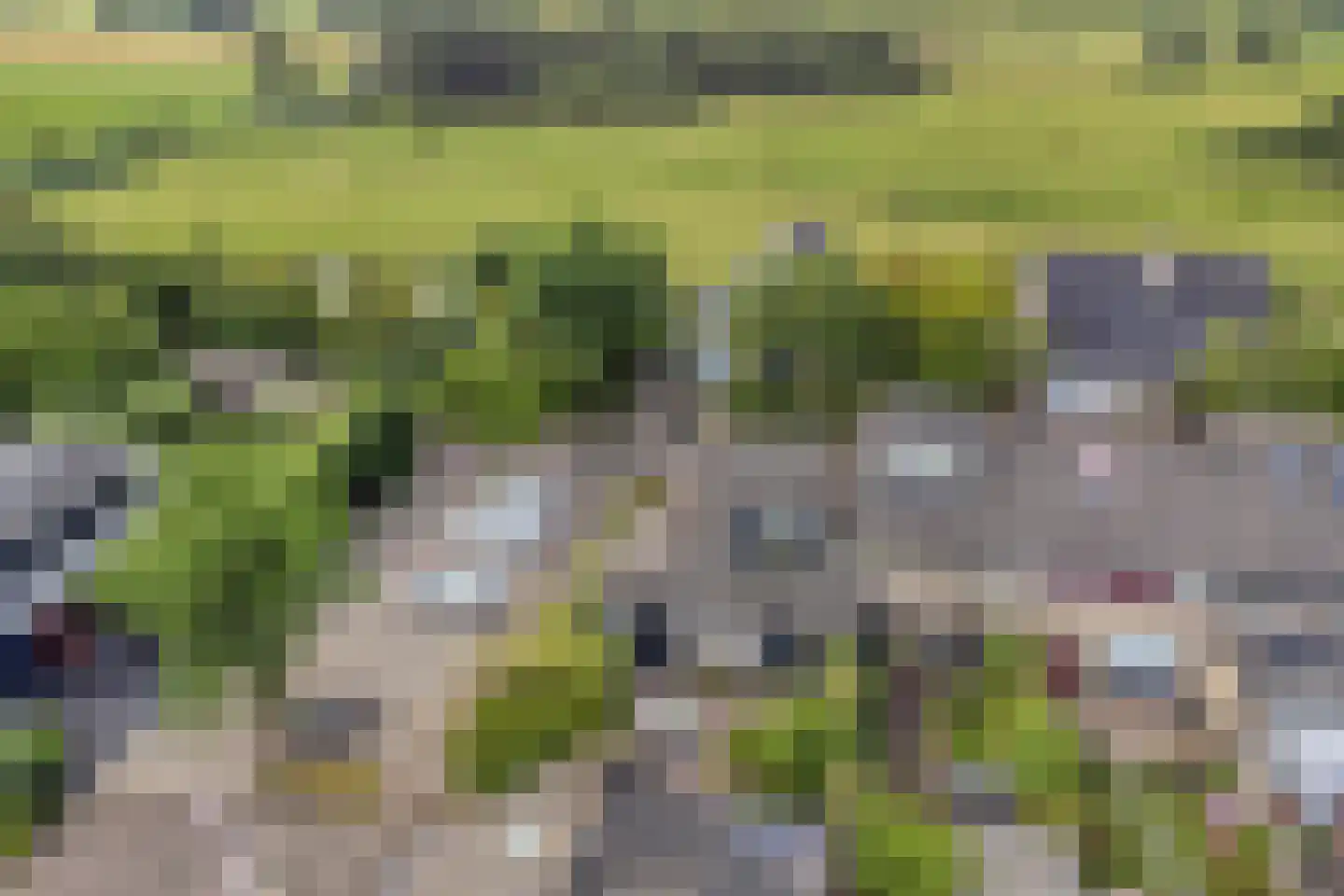 Fuikestee 1 Kortenhoef thumbnail 37