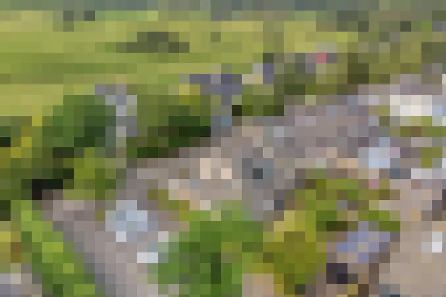 Fuikestee 1 Kortenhoef thumbnail 38