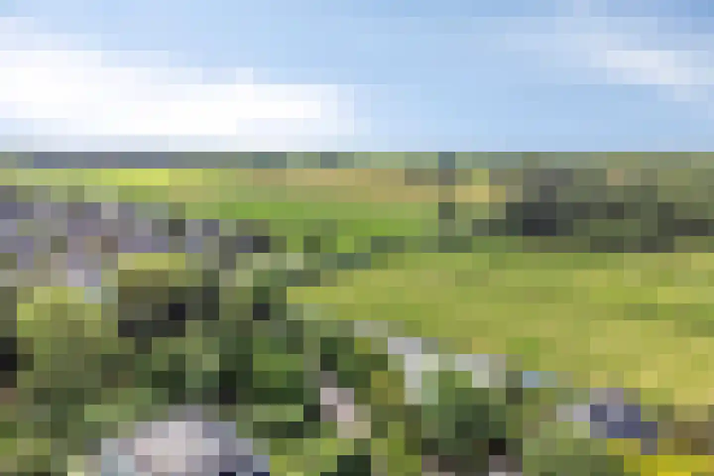 Fuikestee 1 Kortenhoef thumbnail 39