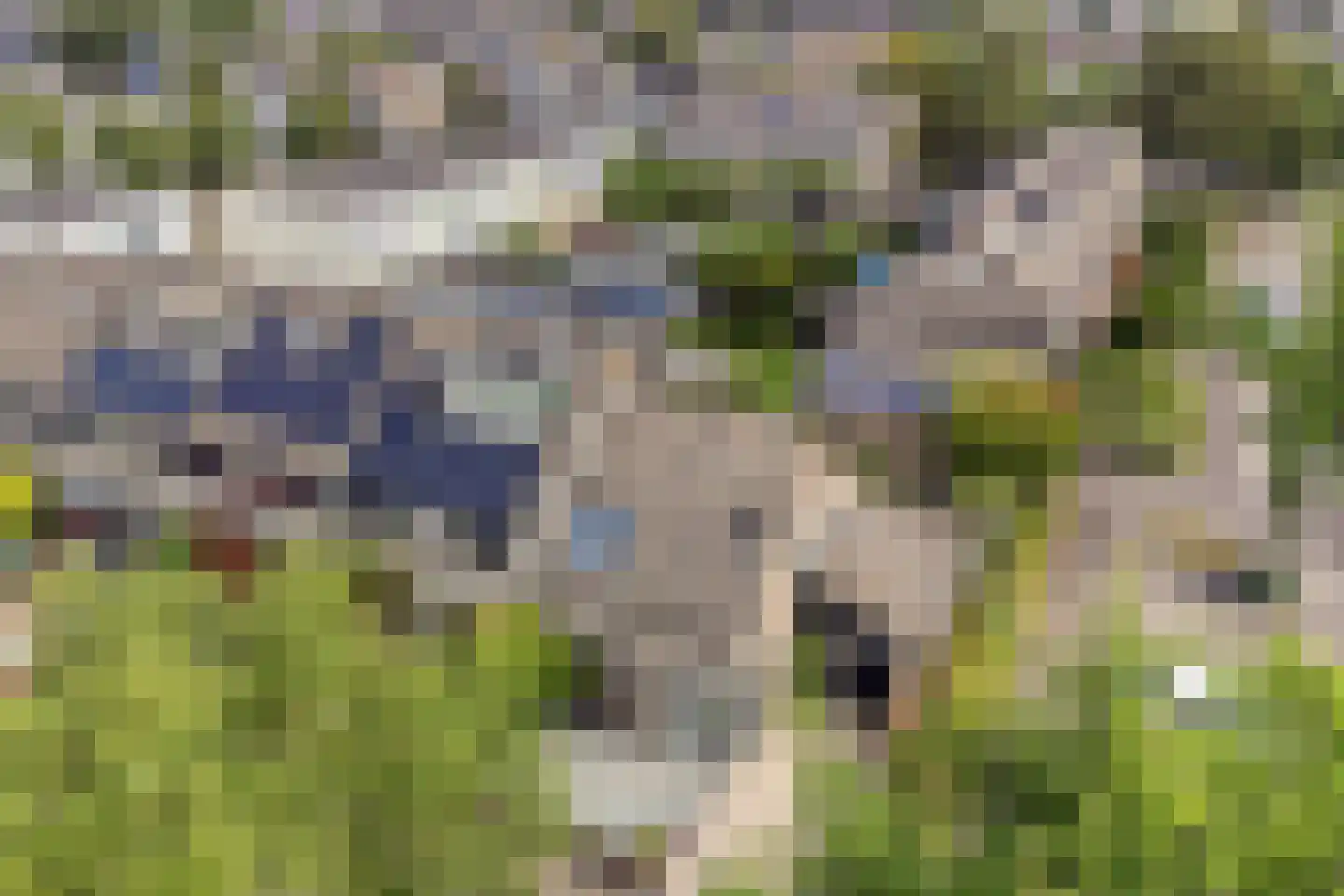Fuikestee 1 Kortenhoef thumbnail 40