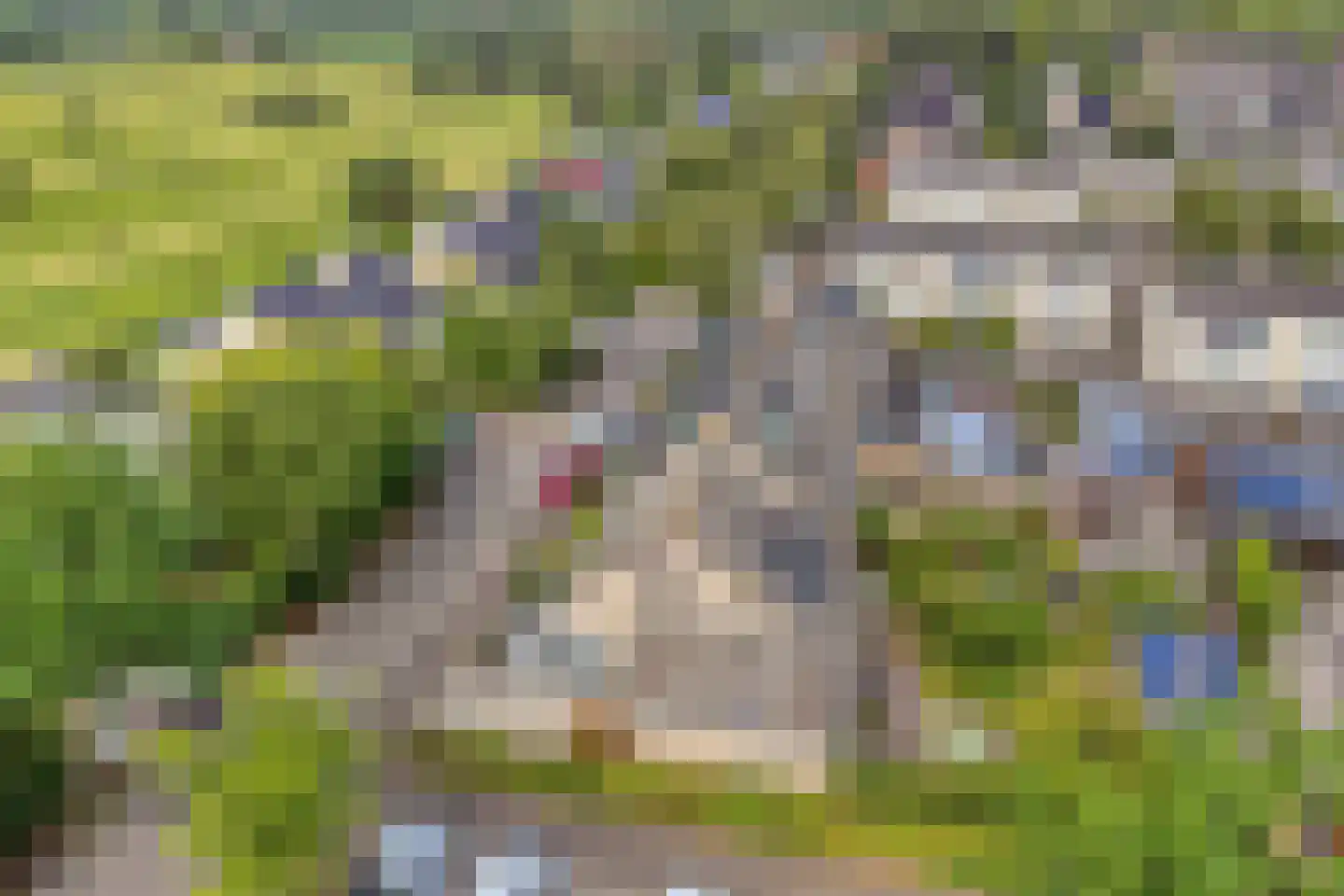 Fuikestee 1 Kortenhoef thumbnail 41