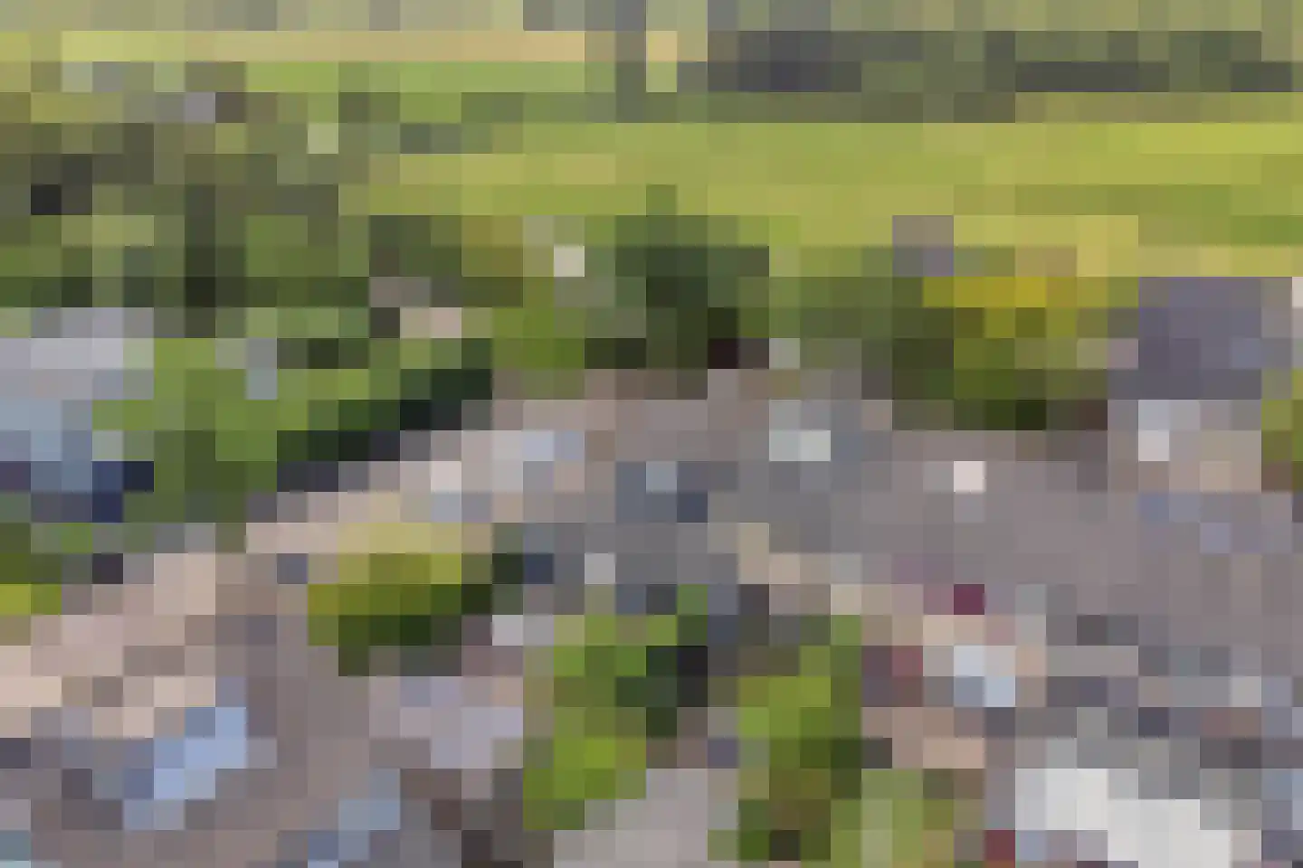 Fuikestee 1 Kortenhoef thumbnail 42