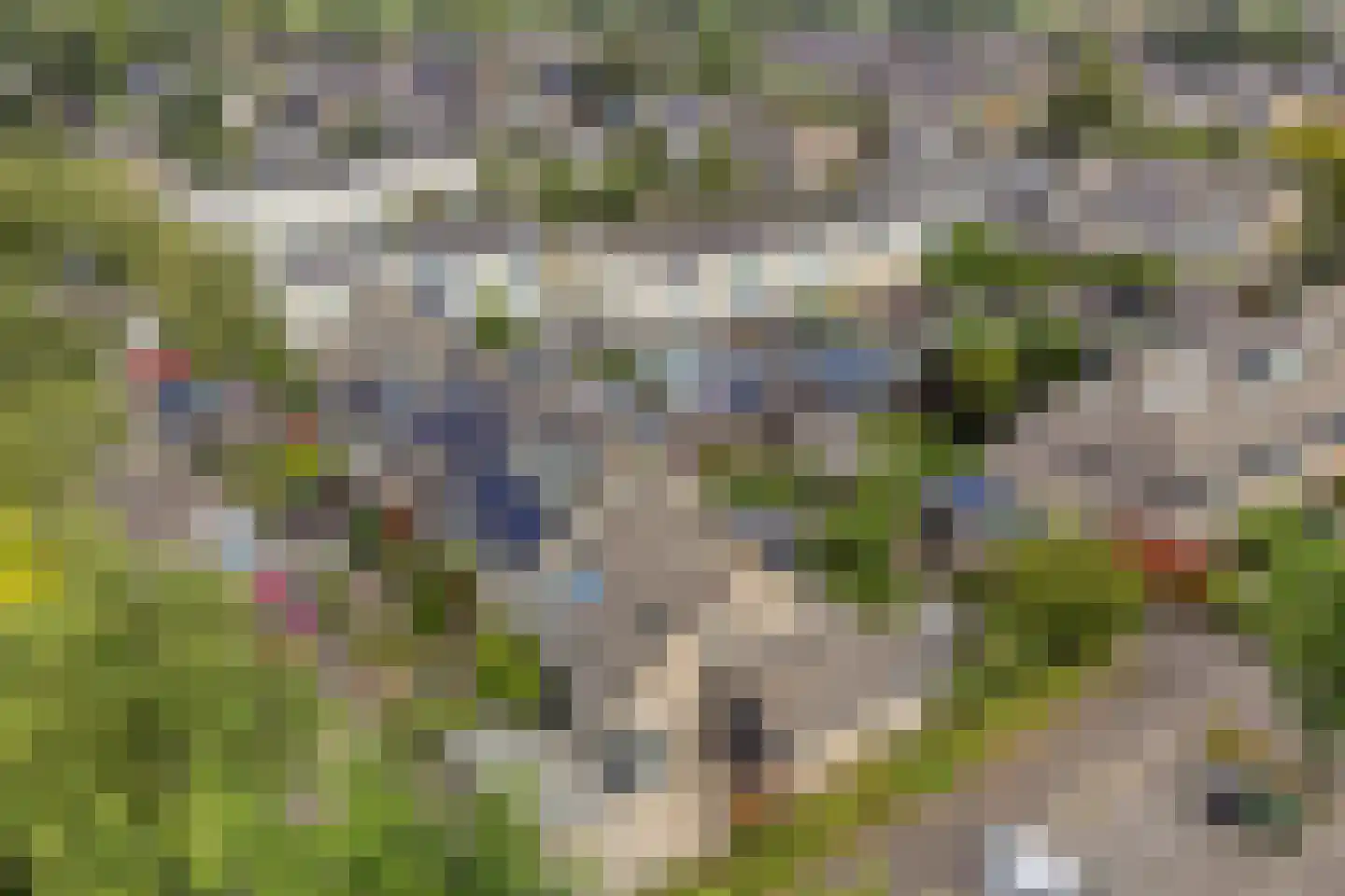 Fuikestee 1 Kortenhoef thumbnail 43