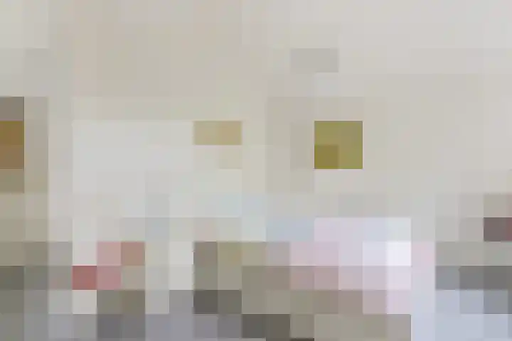Fuikestee 19 Kortenhoef thumbnail 10