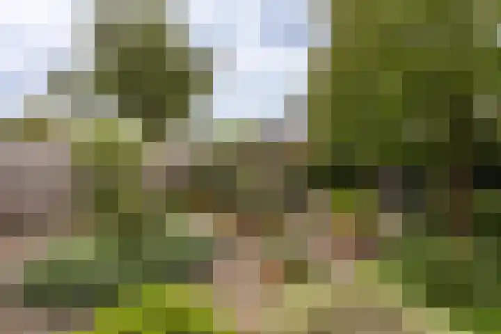 Fuikestee 19 Kortenhoef thumbnail 20