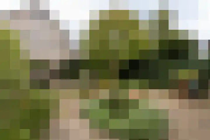 Fuikestee 19 Kortenhoef thumbnail 21