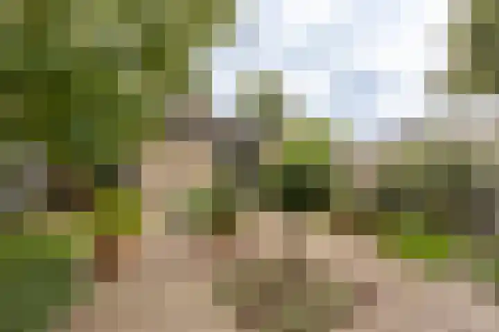 Fuikestee 19 Kortenhoef thumbnail 22
