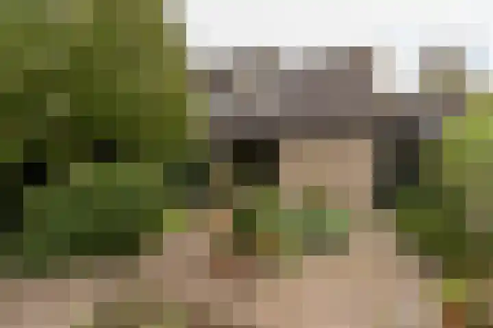 Fuikestee 19 Kortenhoef thumbnail 23