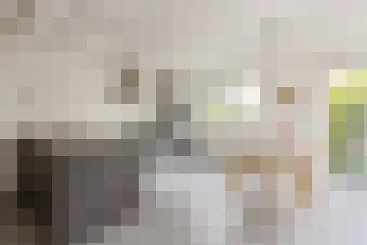 Fuikestee 19 Kortenhoef thumbnail 5