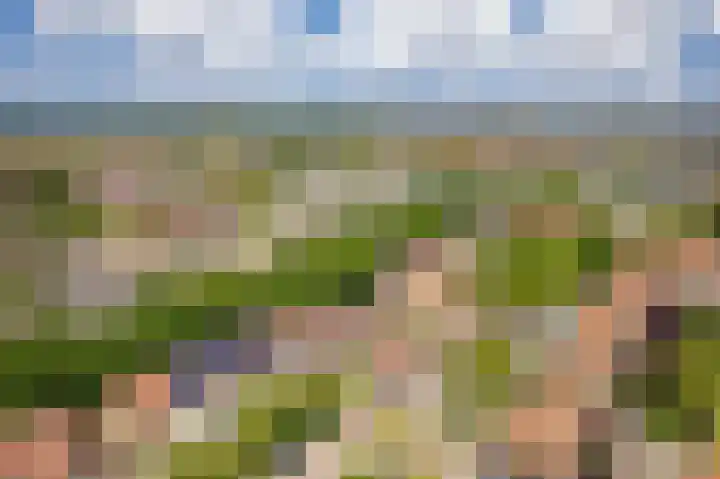 Fuikhoren 41 Noordwijk thumbnail 5