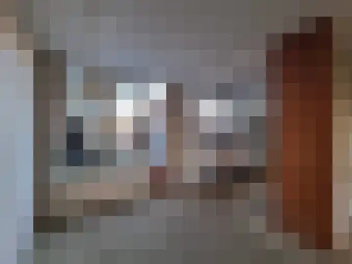 Fuikhoren 45 Swifterbant thumbnail 13