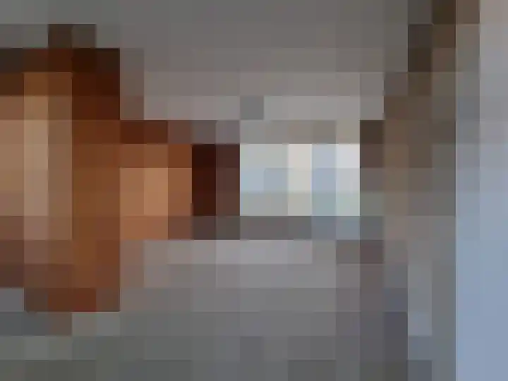 Fuikhoren 45 Swifterbant thumbnail 15
