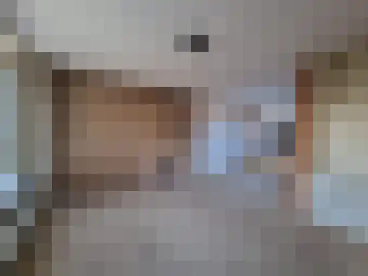 Fuikhoren 45 Swifterbant thumbnail 19