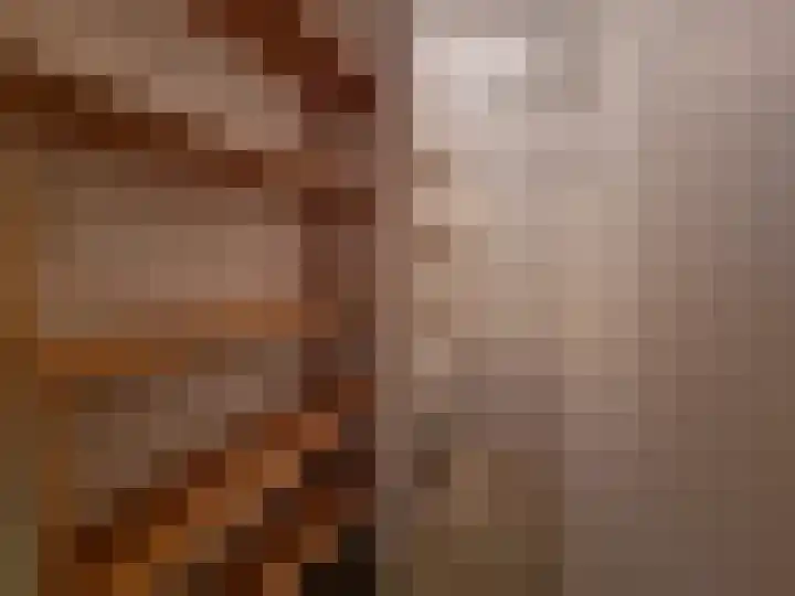 Fuikhoren 45 Swifterbant thumbnail 28