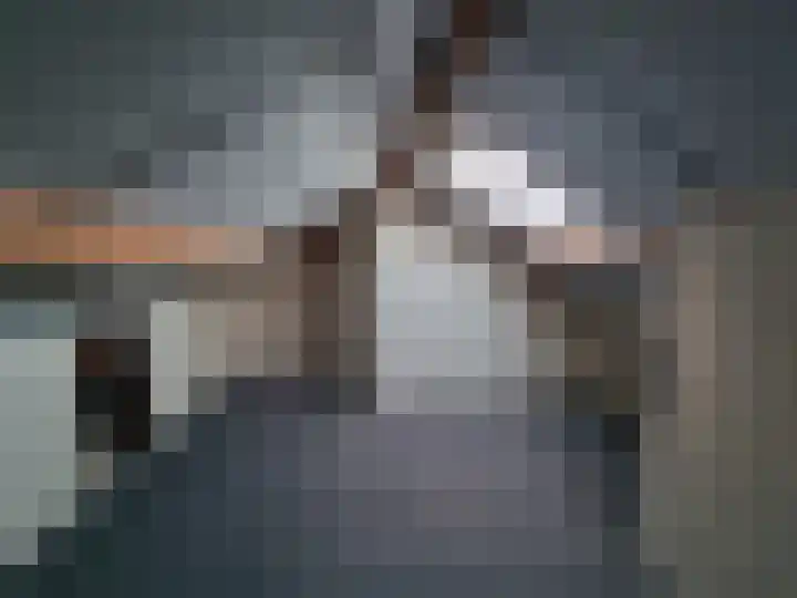 Fuikhoren 45 Swifterbant thumbnail 31