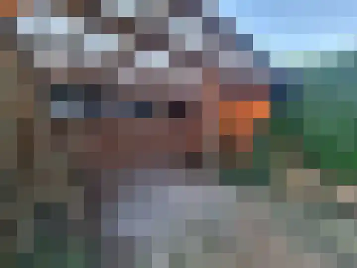 Fuikhoren 45 Swifterbant thumbnail 34