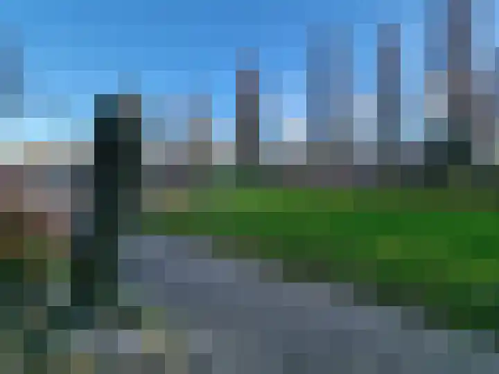 Fuikhoren 45 Swifterbant thumbnail 37