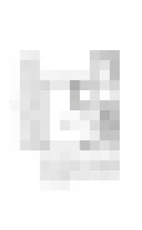 Fuikhoren 45 Swifterbant thumbnail 40