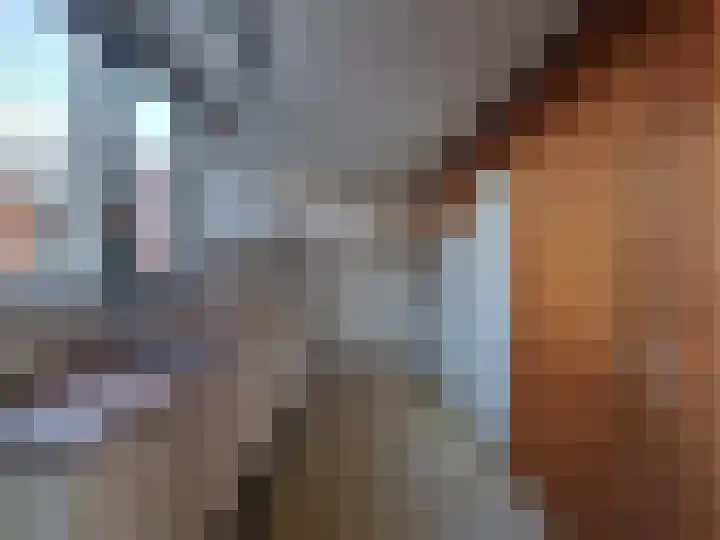Fuikhoren 45 Swifterbant thumbnail 8