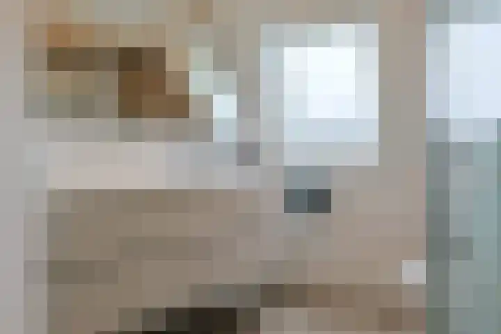 Fuikhoren 46 Noordwijk thumbnail 33