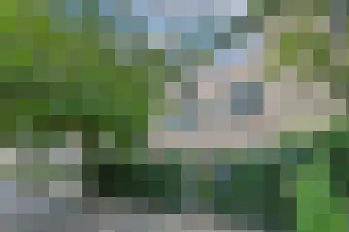 Fuikhoren 46 Noordwijk thumbnail 5