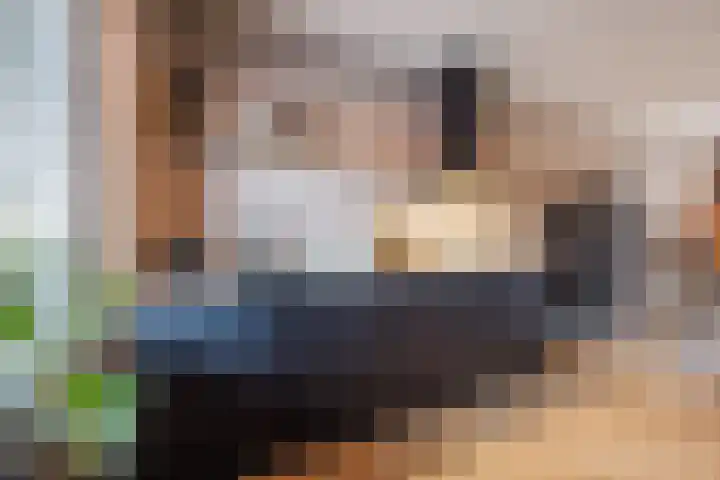 Fuikhoren 8 Hellevoetsluis thumbnail 11