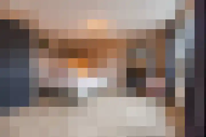 Fuikhoren 8 Hellevoetsluis thumbnail 14