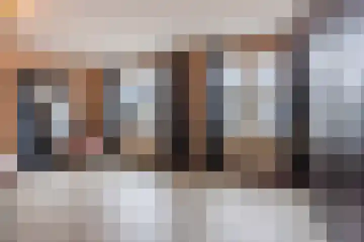 Fuikhoren 8 Hellevoetsluis thumbnail 15