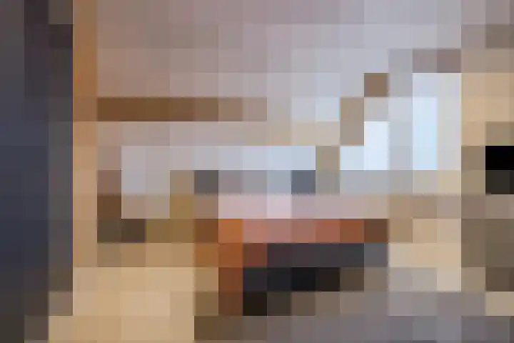 Fuikhoren 8 Hellevoetsluis thumbnail 25