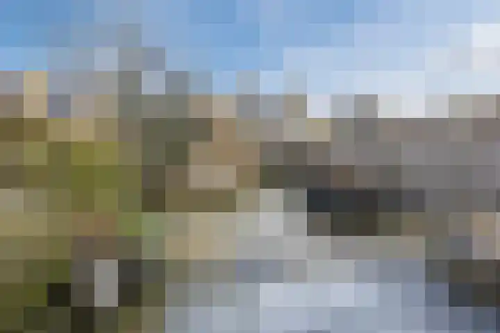 Fuikhoren 8 Hellevoetsluis thumbnail 28