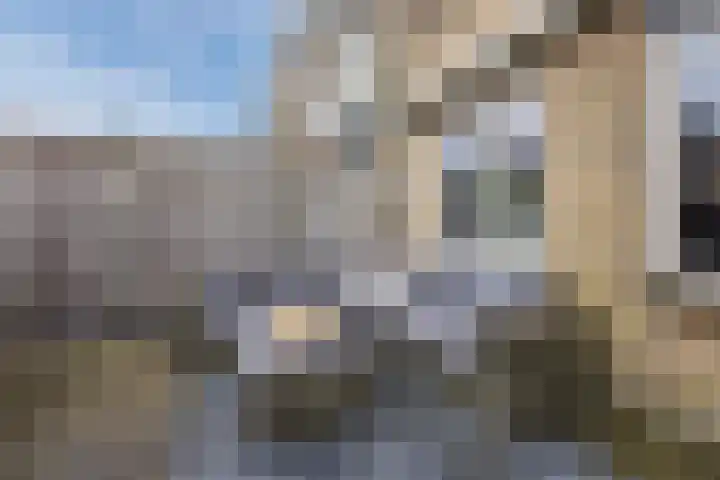 Fuikhoren 8 Hellevoetsluis thumbnail 29