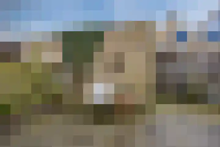 Fuikhoren 8 Hellevoetsluis thumbnail 32