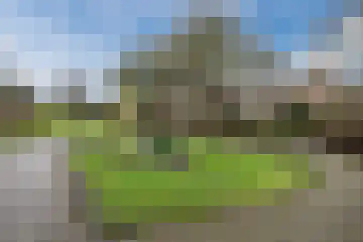 Fuikhoren 8 Hellevoetsluis thumbnail 35