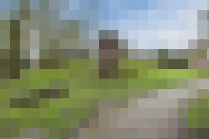 Fuikhoren 8 Hellevoetsluis thumbnail 36